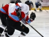 Eishockey 2010