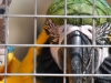 zoo