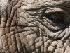 zoo